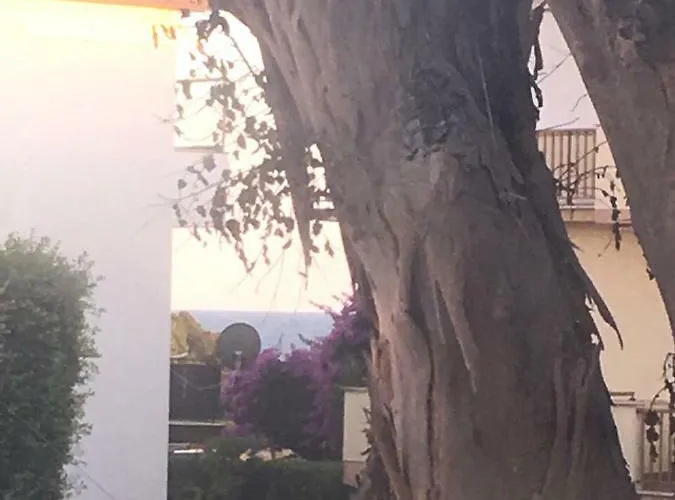Blu Mare Carlo * Άντζιο